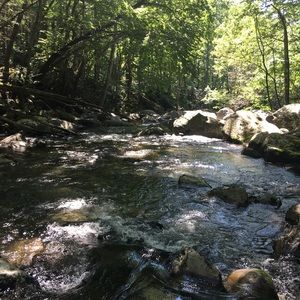 Meet your Posher, Shannen